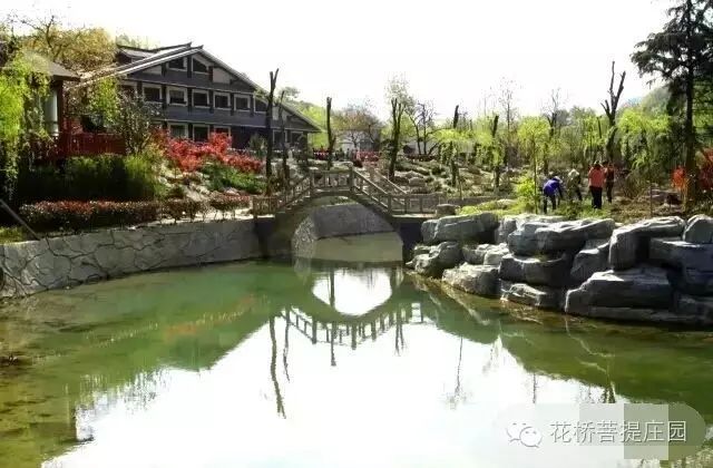這個周末，隴南康縣花橋有大事要發(fā)生？