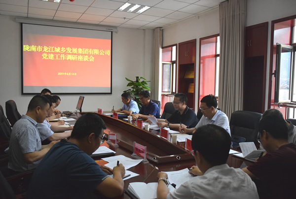 隴南市委常委、組織部部長楊郃調(diào)研指導(dǎo)市龍江城鄉(xiāng)發(fā)展集團公司黨建工作